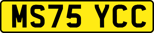 MS75YCC