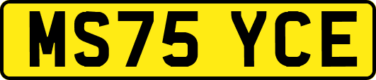 MS75YCE