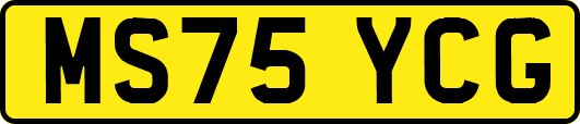 MS75YCG