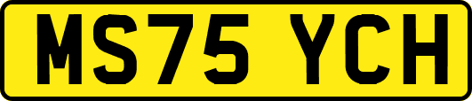MS75YCH