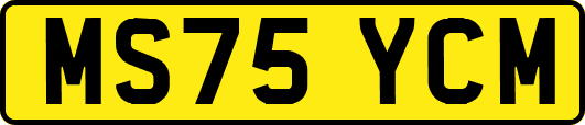 MS75YCM