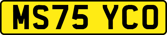 MS75YCO