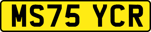 MS75YCR