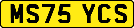 MS75YCS