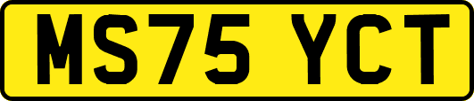 MS75YCT