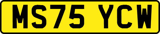 MS75YCW