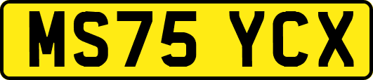 MS75YCX