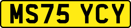 MS75YCY