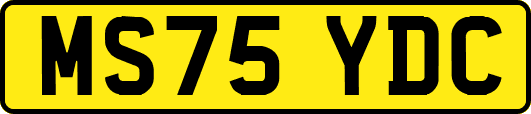 MS75YDC