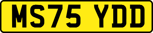 MS75YDD