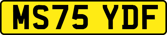 MS75YDF