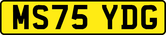 MS75YDG