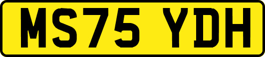 MS75YDH