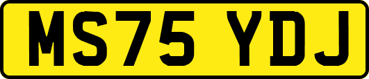 MS75YDJ