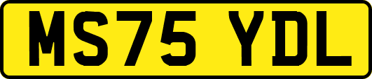 MS75YDL