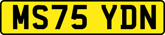 MS75YDN