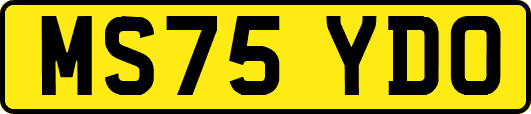 MS75YDO
