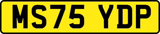 MS75YDP