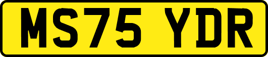MS75YDR