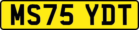 MS75YDT