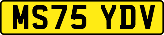 MS75YDV