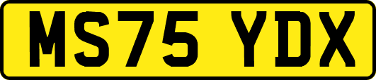 MS75YDX