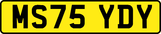 MS75YDY