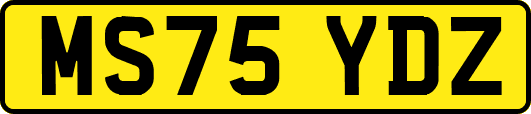 MS75YDZ