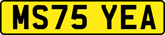 MS75YEA