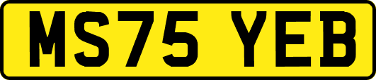 MS75YEB
