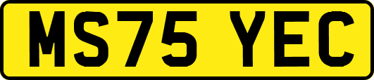 MS75YEC