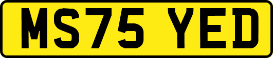 MS75YED