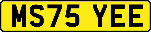 MS75YEE