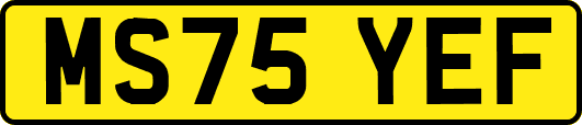 MS75YEF