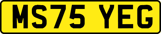 MS75YEG