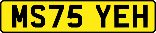 MS75YEH