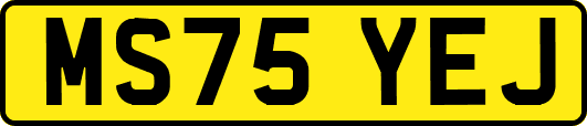 MS75YEJ