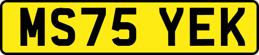 MS75YEK