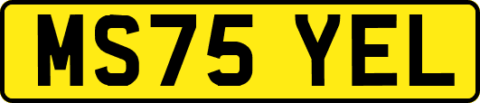 MS75YEL