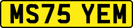 MS75YEM