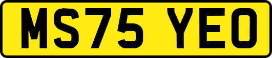 MS75YEO