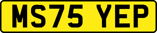 MS75YEP