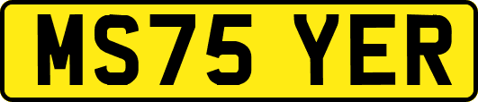 MS75YER