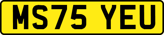 MS75YEU