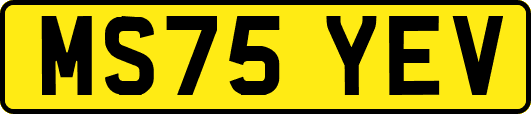 MS75YEV