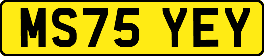 MS75YEY