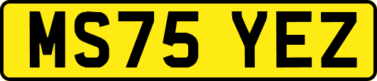 MS75YEZ