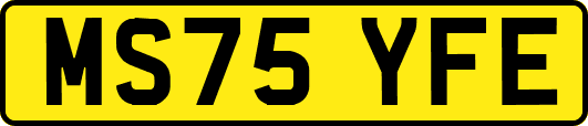 MS75YFE