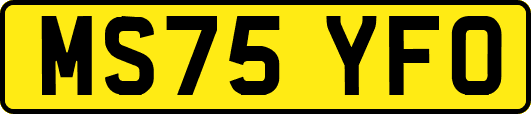 MS75YFO