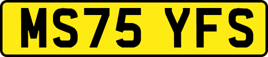MS75YFS